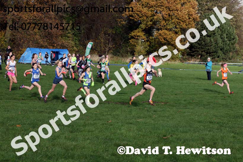 Girls under-13s 2017 British Athletics Liverpool Cross Challenge, Sefton Park, Liverpool. Photo:  David T. Hewitson/Sports for All Pics